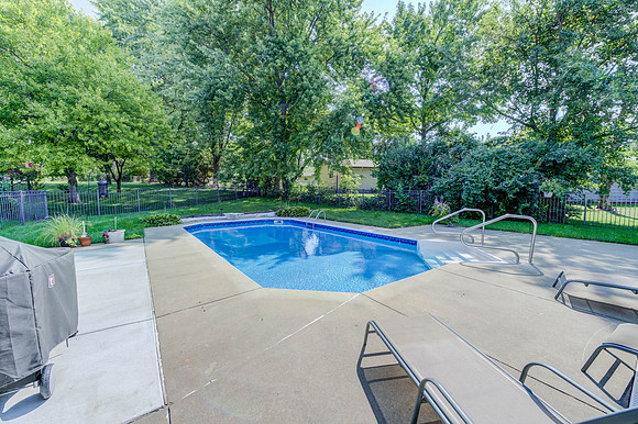 Larkspur-1020